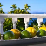 Διαμέρισμα New! Paxoswhite Sea View & Studios!