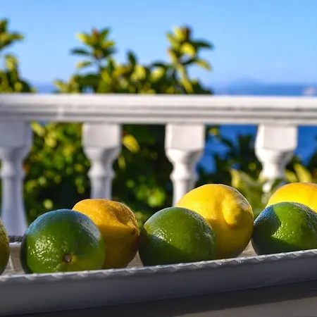 아파트 New! Paxoswhite Sea View & Studios!